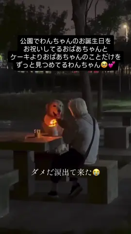 #犬とおばあちゃん#愛犬の誕生日#公園