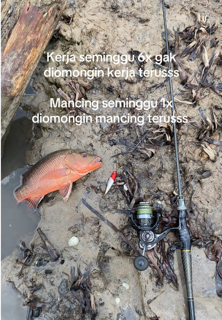 Betul kh begitu ketua 😁 #storymancing #anglerindonesia #anglersangatta  #fyp #viral 