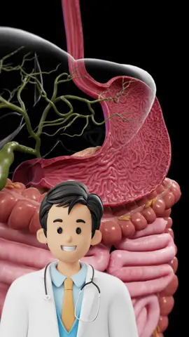 Ez történik a testeddel, ha 36 órán keresztül nem eszel semmit.  #health #healthy #healthtips #DidYouKnow #baziodoki 