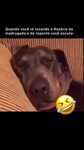 🤣🤣🤣🤣🤣 #Catolicorindo #igrejacatolica 