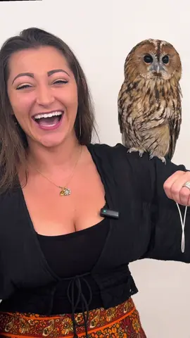 Can I bring them all home?! Animal cafe edition of “Dani Does Coffee” coming soon! 