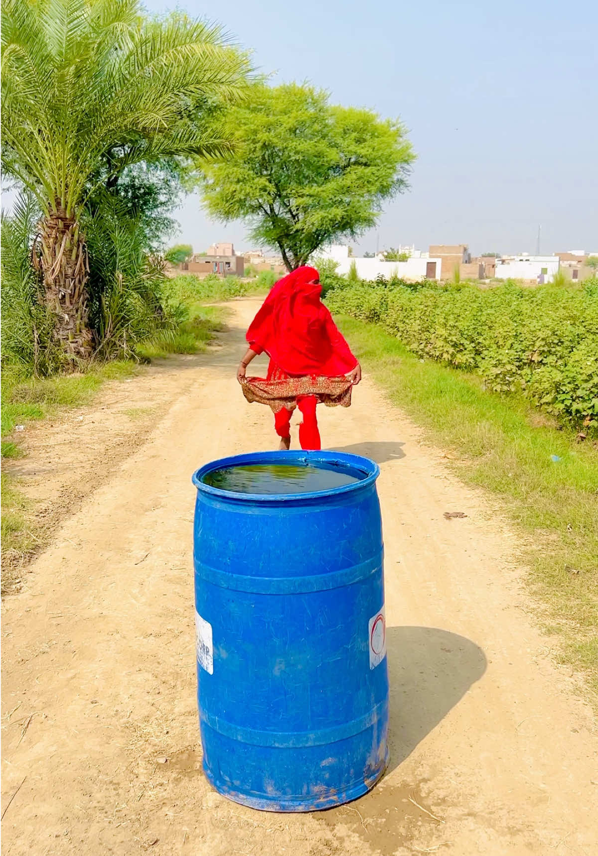 Larki ky Pechy Kon Tha🥺 #teamlofi2 #foryoupage #dilshadayoub02 #videotiktok #comedy 