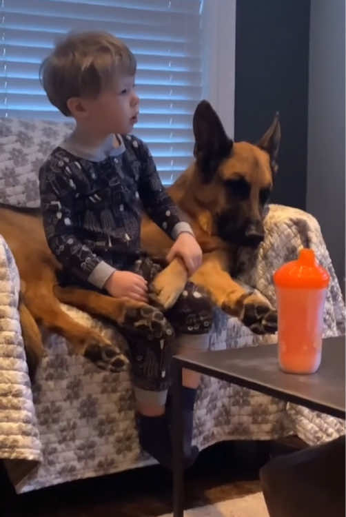 Best friends 🥰#dog #pet #baby #Love #lovestory #bestfriend #cute #doglover #dogsoftiktok #foryou #usa🇺🇸 