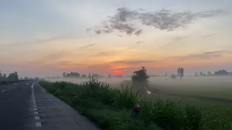 #xuhuongtiktok 