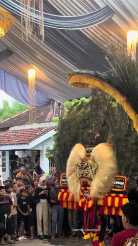 #reog #storyreog #pemburubarongan #ponorogo24jam #fyp 