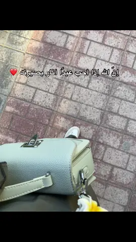 #وعسى_أن_تحبو_شيئ_وهو_شرا_لكم #❤️‍🩹