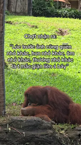 Có ai giống t hok #VinWonders #GreenCreator #dulich #xuhuong #xh 