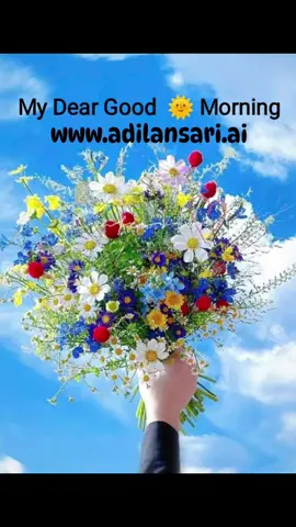 goodmorning🇺🇸 #GoodMorningAmerica ! www.adilansari.ai www.asg.rocks www.asg.fyi www.americansignaturegroups.com www.asgsky.com Thanks ! #new York #nyc #dc #usa 