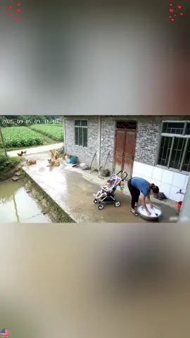 This is why I’m a dog person ❤️#dogmom #doglover #doghelp #smartdog#usa 🇺🇸 