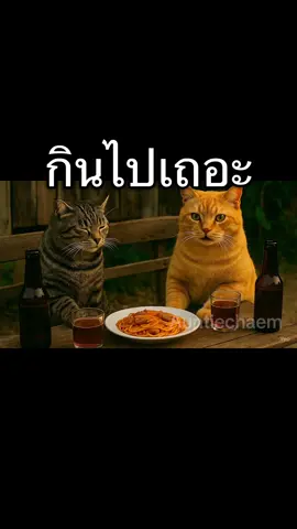 #ส้มลาย #fyp #แมว #แมวอ้วน #ai 