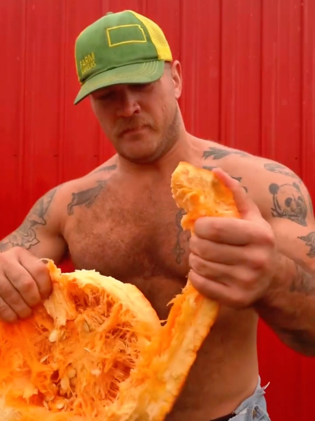 Everyone loves Pumpkin Season here on the ranch 🎃 #farmtok #farmlife #creatorsearchinsights 