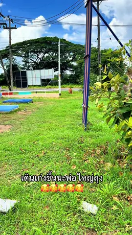 พ่อใหญ่ถุงทอง#โกเด้นรีทรีฟเวอร์ #โกเด้นหมาน่ารัก #หมาแก่ #พี่ถุงทอง 