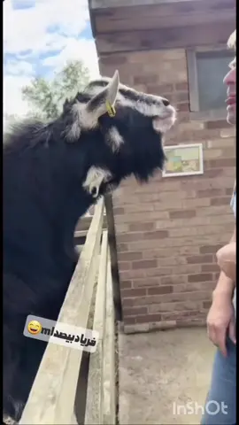 #fail #failvideo #failcompilation #funny #funnyvideos 