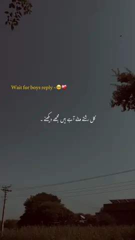 Lines🥺❤️‍🩹#fyp #1millionaudition #trendingvideos #aesthetic #poetrystatus 