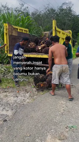 Salam tandan berduri#fyppppppppppppppppppppppp #petanimuda #simalungun 