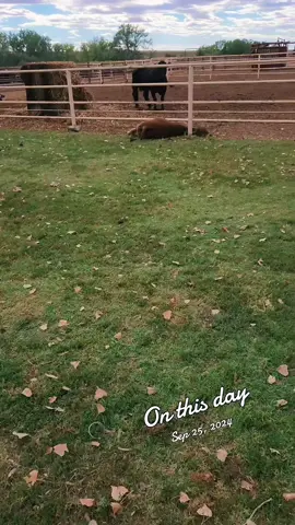 #onthisday