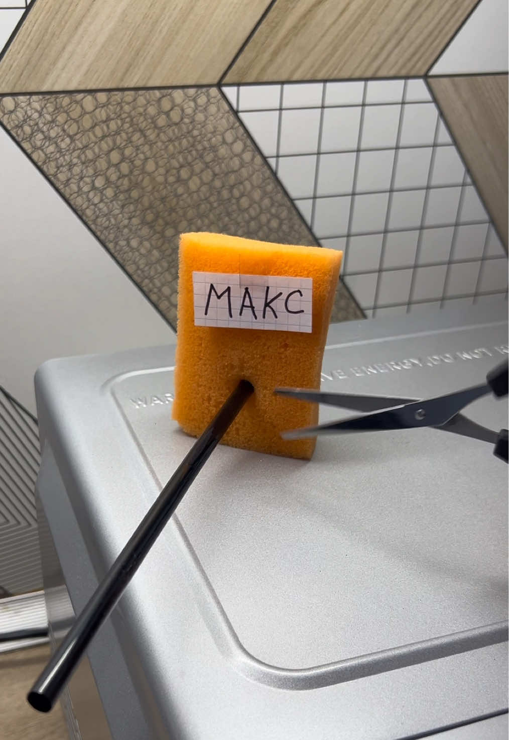 Pisiynchik Максима 🧽 