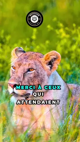 Merci à ceux qui attendaient ma fin pour enfin se reposer#conseil #motivation #france 