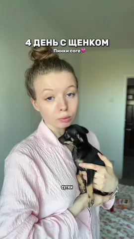 4 сутки с щенком... Помогите🤝🏻