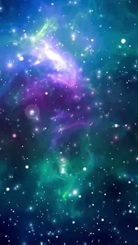 Вот топ-7 интересных фактов о компании Tesla: 1. ⚡ Электромобили будущего Tesla производит 100% электрические автомобили — без бензина, без выхлопов, чистая энергия! 2. 🤖 Автопилот Машины Tesla оснащены функцией автопилота, которая может управлять, тормозить и парковаться без участия водителя. 3. 🔋 Сверхмощные батареи Tesla делает не только машины, но и аккумуляторы — Powerwall и Powerpack, которые хранят энергию для домов и бизнеса. 4. 🚀 Связь с космосом Илон Маск — основатель Tesla и SpaceX. В 2018 году он отправил Tesla Roadster в космос на ракете Falcon Heavy! 5.  🏭 Гигафабрики Tesla строит огромные заводы — «Гигафабрики» — по всему миру для массового производства аккумуляторов и авто. 6. 💰 Одна из самых дорогих автокомпаний Tesla — одна из самых дорогих автомобильных компаний в мире по рыночной капитализации. 7. 🌞 Инвестиции в солнечную энергию Tesla владеет SolarCity и продвигает солнечные панели и «солнечные крыши» для устойчивого будущего. #прикол #мем #смех #кружки #юмор 