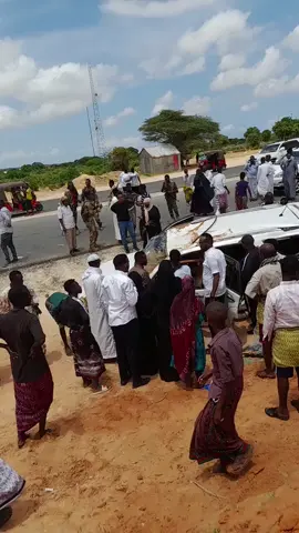 #harericadle🔥🔥🔥 