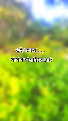 😀😀#pppppppppppppppp #yyyyyyyyyyyyyyyyyy #foryou #foryoupage #viraltiktok 