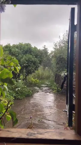 Rainy Morning ☔ #september #rain #rainyday #cozy #sunday 