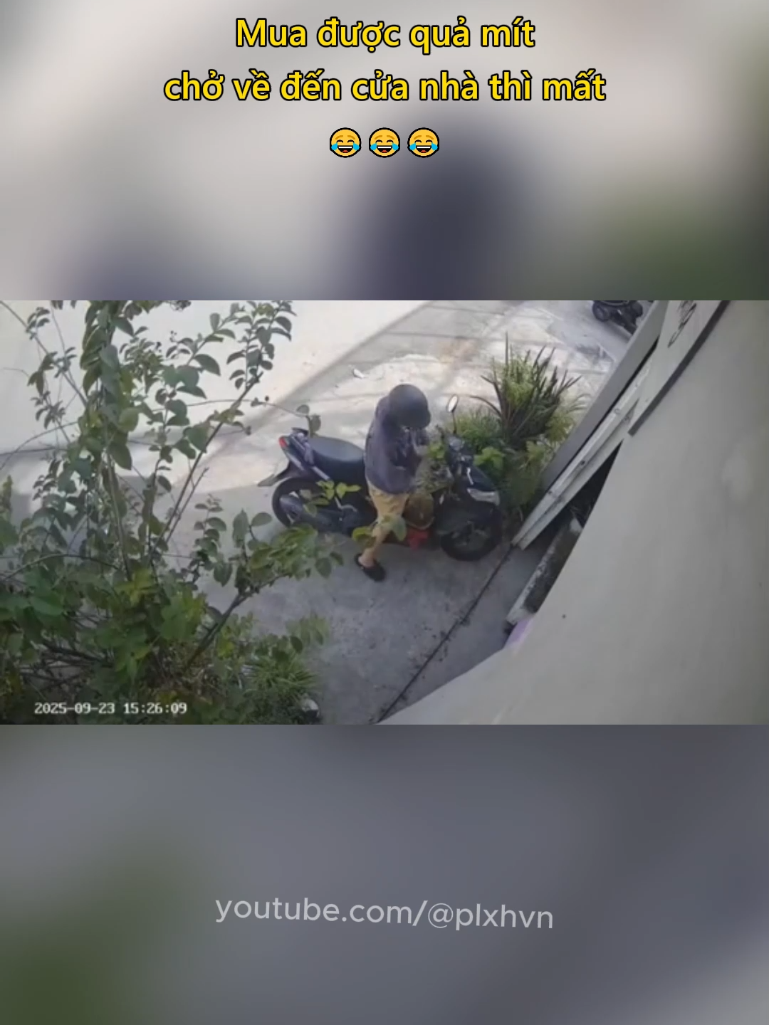 Mua được quả mít chở về đến cửa nhà thì mất 😂 #tromcuop #tromcap #haihuoc #vuive #giaitri #plxhvn #phapluatxahoi