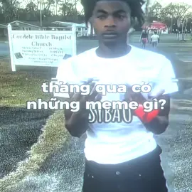 tháng qua có những meme gì? 🤔 #edit #meme #vn #vietnammeme #vietnam #rewind #meme2025 #viral #viralvideo #phaichiu #dechquantam #lccar #anthonyng #36 #thanhhoa #bopbop #sybau #dexter #trending #xh