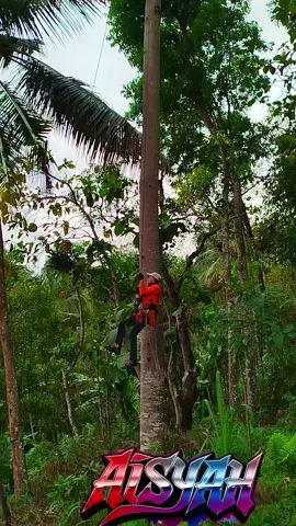 @𝙍𝘼𝙔𝘼𝙋 𝙋𝙐𝙏𝙄𝙃#027 #utamakankeselamatan &#kesehatankerja #sistimnaikpohontalitunggal#saftyfirst 