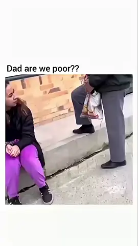 Poor CAT has BAG instead of FANCY MOBILE HOME! 