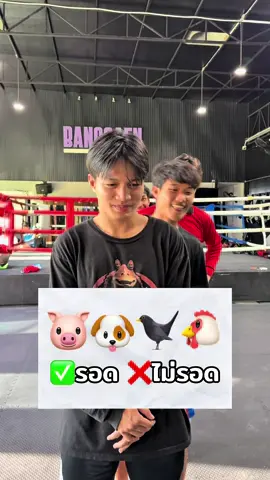 หมูหมากาไก่ ver.ทีมช่าง 🤣 #หมูหมากาไก่ #บอสเบลล์ที่อยู่บางแสน #บอสเบลล์สายฮา #คลิปตลก #บางแสนไฟท์คลับ🥊 