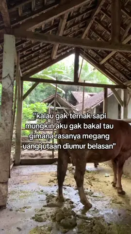 😇#ternaksapi #fypage #lewatberandafyp 