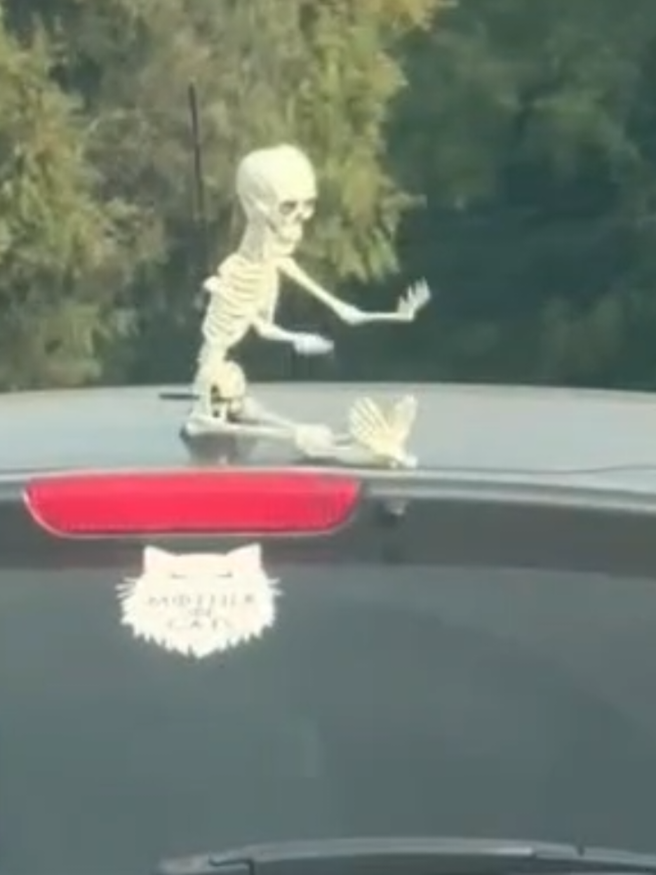 67 💀 #67 #67trend #viralvideo  *For licensing or usage, contact licensing@viralhog.com*