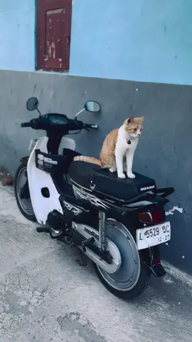 #astreagrandindonesia #mojokerto24jam #astreaclassic 