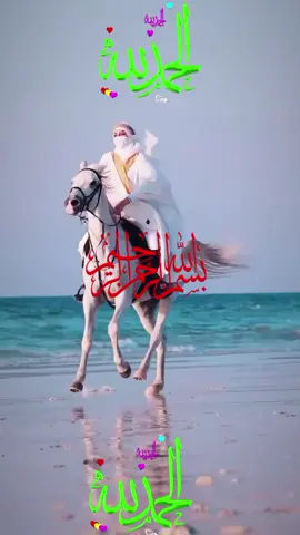 #ইসলামিক_ভিডিও #❣️তুমি❣️আমার❣️জীবন❣️সাথী❣️ 