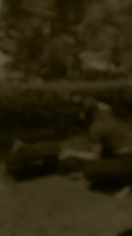 🤍🕊#cucakijo #cucakijomania #cucakijoindonesia #cucakijomania #jamtrokmania 