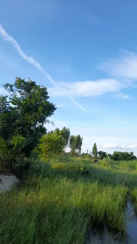 ออกพรรษาลาพระเจ้า#เทรนด์วันนี้ #ออกพรรษา #หมอลํา #คนมักฟังลํา 