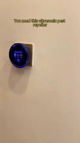 Got Mice at Home? Try This!