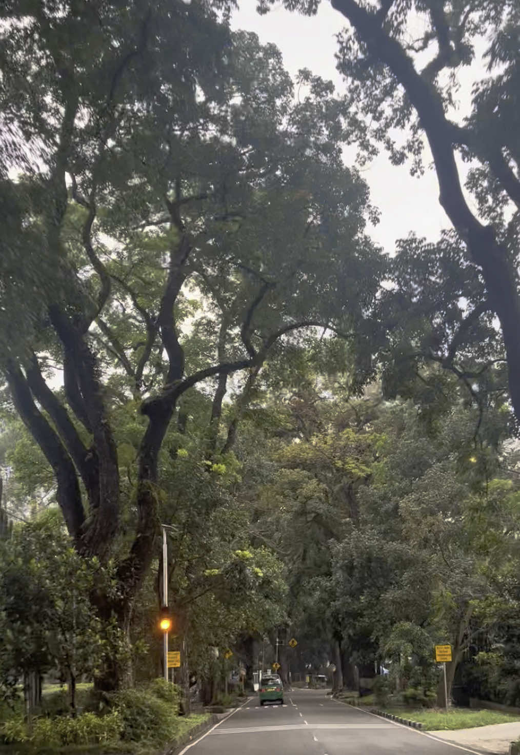 Keliling bandung pagi hari🌳💘 #jalanbandung #bandungvibes #bandungaesthetic #bandung #bandungkota 