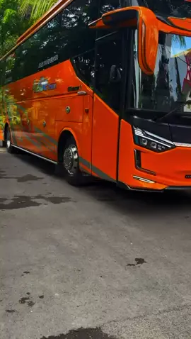 #buspariwisata #bussurabayamalang #bussurabaya  #busmalang  #A2detrans 