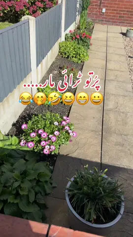 #funymemes🤦🏽🥴🤣 #viralvideoontiktok #🤭😃😂😁😜😀🤣😆 #itsnaina😍😍 #Foryoupage 