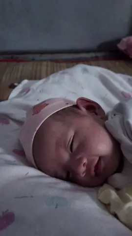 Người ta đẹp như thiên thần thế này mà lỡ đoạn đành bỏ người ta 😭 #ôngbốbỉmsữa #dũngbánhmì #nuôiem #chùamồcôi #chuaphuocthien 