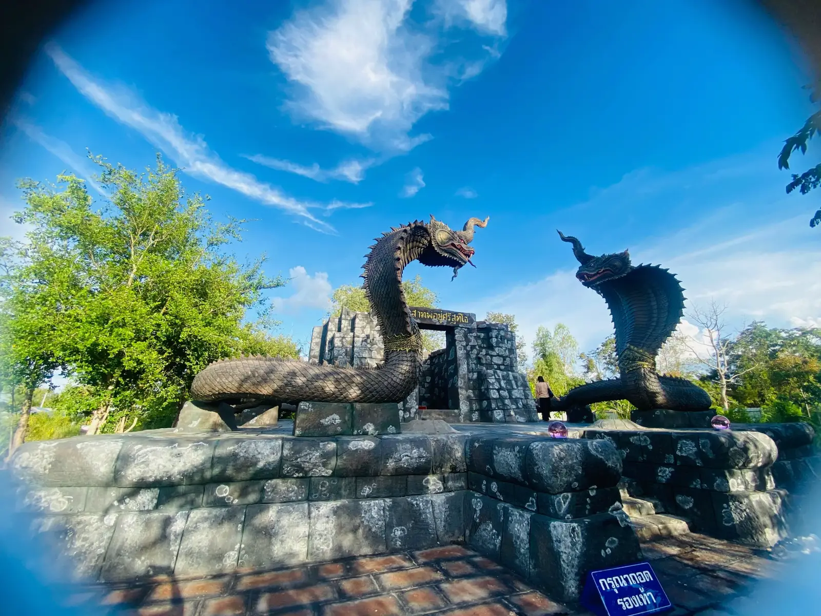 ร่ำรวยๆ