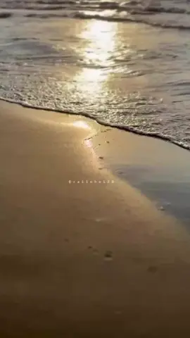 #creatorsearchinsights #فوریو #اکسبور #creatorsearchinsights #creatorsearchinsights 