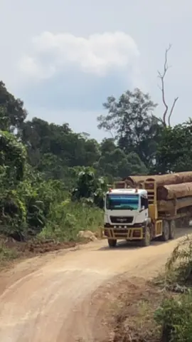 Holing logpon🔥🚨 #fyp #kayubalak #loggingtruck #hutankalimantan #viral 