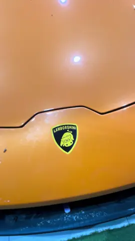 Bò sữa #huracan #lamborghini #lambor #aventador 