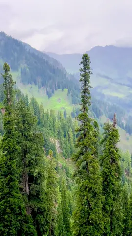 Beautiful 😻 #kaghanvalley #foryoupage #travelwithrizwan #viralplzzzzzzzzzz #foryou 