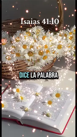 Gracias Señor por estar siempre con nosotros. Isaías 41.10 #dios #promesas #fiel 