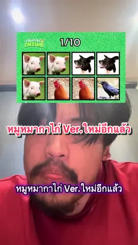 ไม่น่าไปเล่นหมูหอยหมีก่อนเลย cr. @รอบกองเฟรนด์ #กรีนก๋อย #หมูหมากาไก่ #เกมหมูหมากาไก่ 